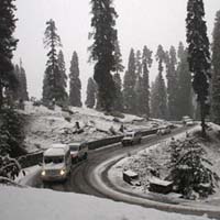 Leh freezes at minus 12.4 degrees Celsius