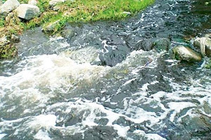 Toxic industrial waste killing Noyyal river