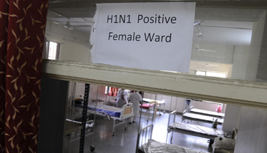 Swine flu scares again