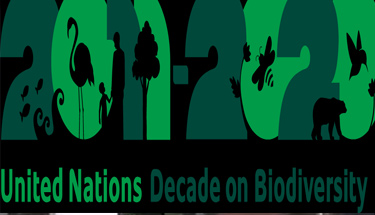 United Nations conference on biological diversity