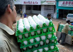 Retail inflation at 8.83 pc in Feb