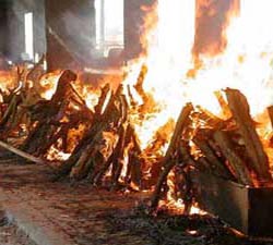 Punjab mass cremation: Rs 27.94 cr relief ordered