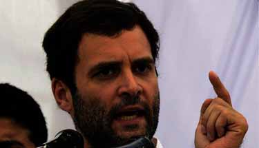 Congress should address basic problems first: Rahul Gandhi 